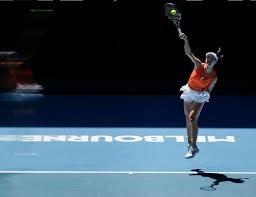 解析芝加哥小熊的瑞格利球场常春藤墙背后的维护秘密