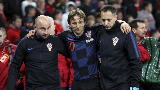 仅展示了上 仅展示了上